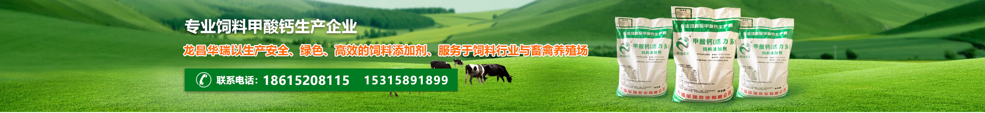 濟南專(zhuān)業(yè)飼料甲酸鈣生產(chǎn)企業(yè) 濟南專(zhuān)業(yè)飼料甲酸鈣生產(chǎn)企業(yè)