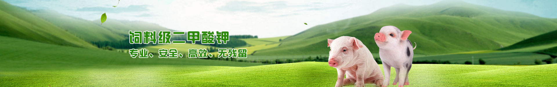 二甲酸鉀 二甲酸鉀