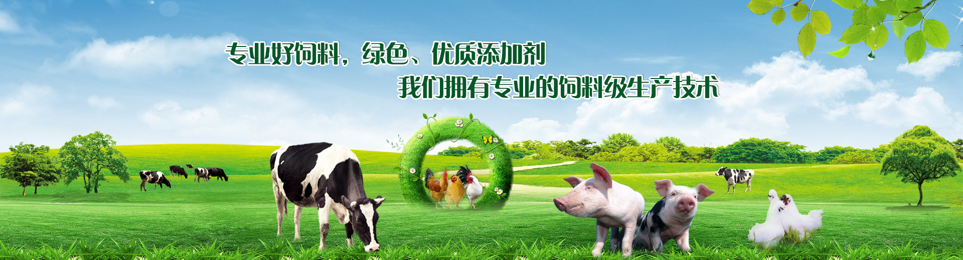 飼料級雙乙酸鈉 飼料級雙乙酸鈉