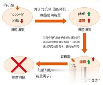 1557279075601724.jpg 0.jpg