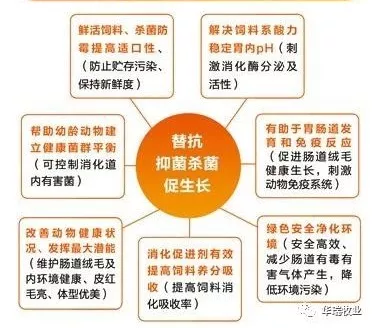 二甲酸鉀 二甲酸鉀