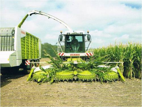 青貯防霉劑雙乙酸鈉 青貯防霉劑雙乙酸鈉