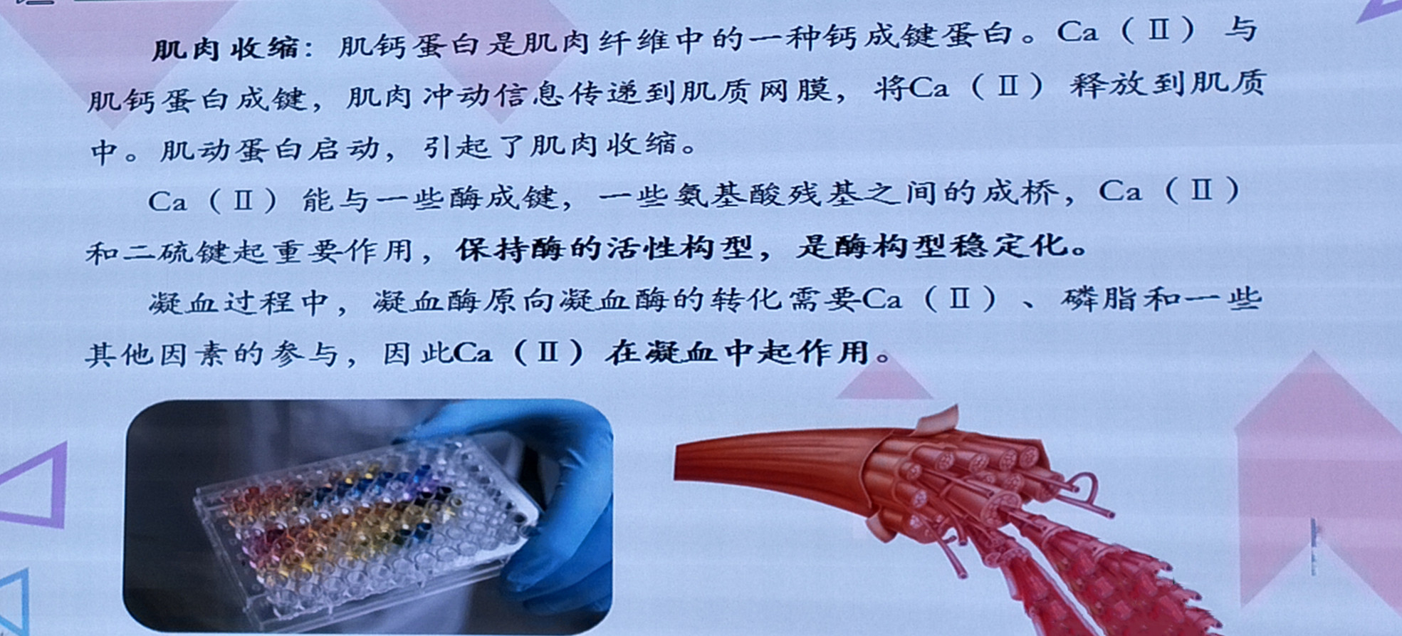 1562915128500190.jpg 微信圖片_20190712090954.jpg