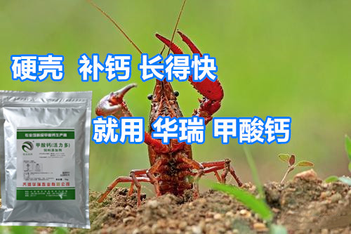 1605837568694738.jpg u=3698544923,3056535331&fm=26&gp=0_副本.jpg