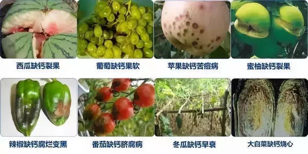 1617005626766855.jpg 5b0988e595225.cdn.sohucs.jpg