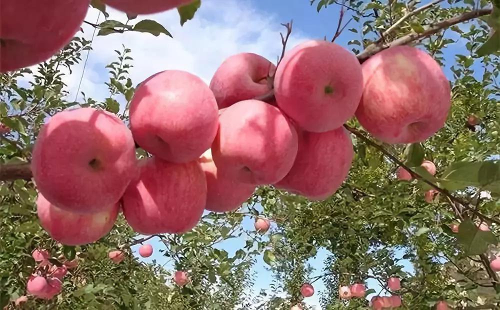 1621323301656996.jpg n.sinaimg.jpg