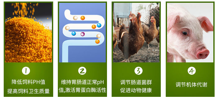 1639705452480129.png 微信圖片_20200506134951.png