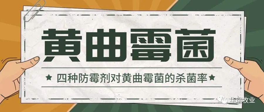 1655279599239394.jpg 微信圖片_20220615155258.jpg