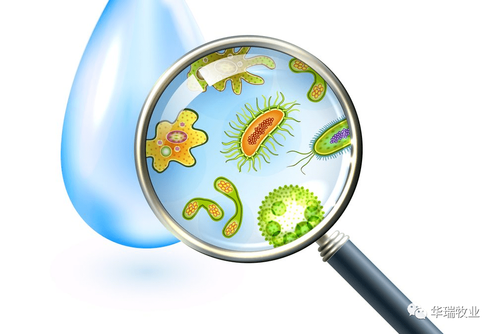 1657097232876094.png 1.png