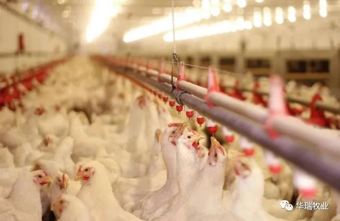 1657097242174051.jpg 2.jpg