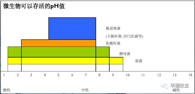 1657097262869244.png 4.png