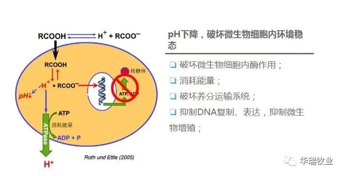 1662012103277827.jpg 微信圖片_20220901140114.jpg