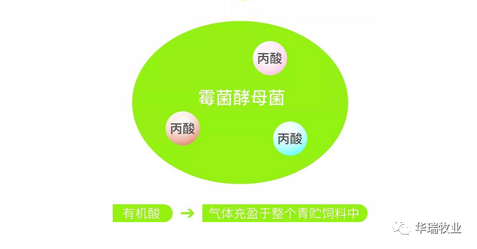 1662012173496481.png 微信圖片_20220901140209.png