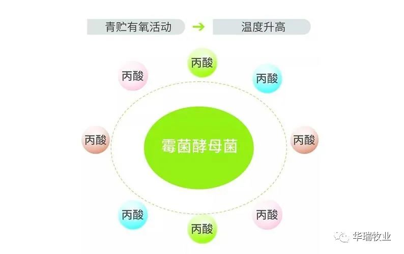 1662012486181135.jpg 微信圖片_20220901140723.jpg