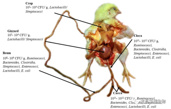 1678429115927237.png 640.png