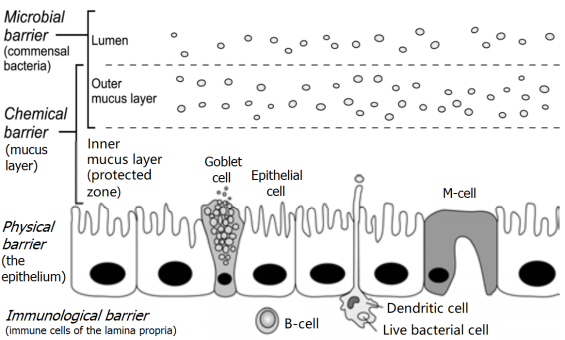 1678429141807502.png 640.png