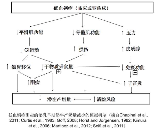 1678938145730333.jpg 3.jpg