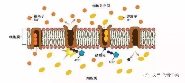 1679031570791316.png 640.png