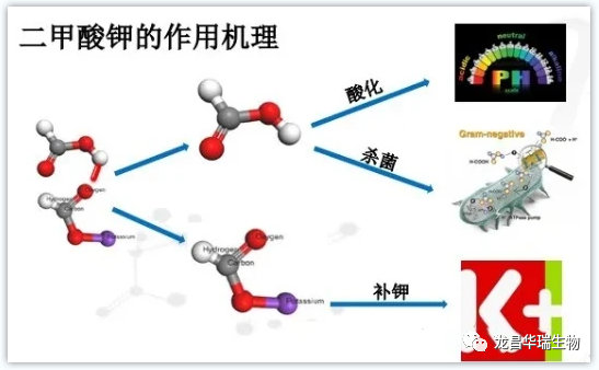 1679031617206704.png 640.png