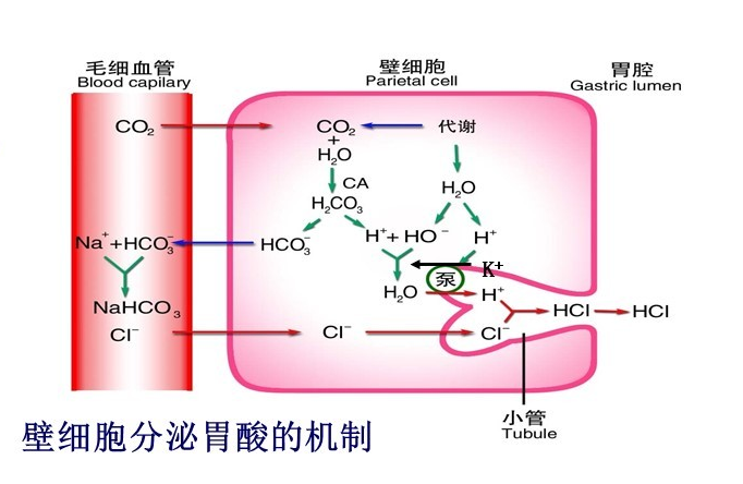 1679377699224935.png 4.png